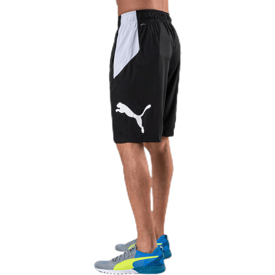 Cat Short White/Black