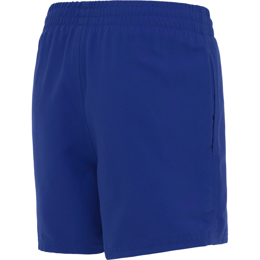 Nike 4" Volley Short ES — Game Royal