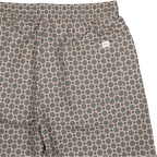 Stan Aop Swim Shorts 2.0