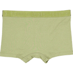 3p Trunk