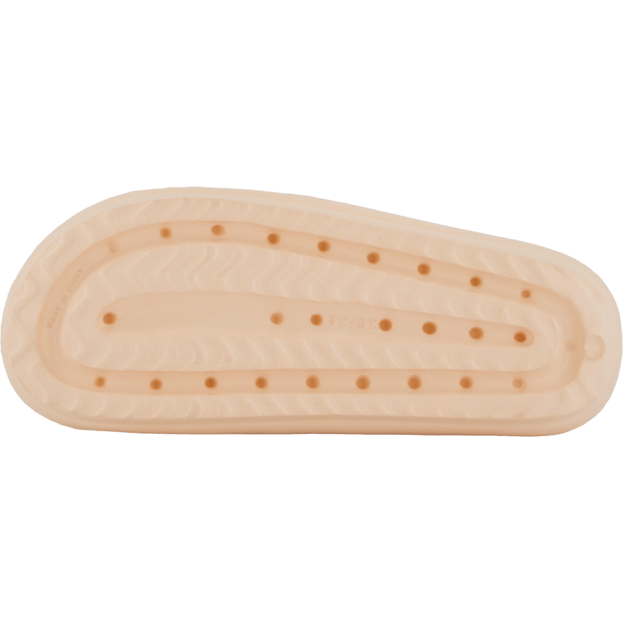 Chunky Slipper Coral